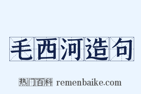 毛西河造句是什么意思的图片
